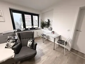 Pronájem bytu 2+kk, Brno - Štýřice, Sovinec, 53 m2