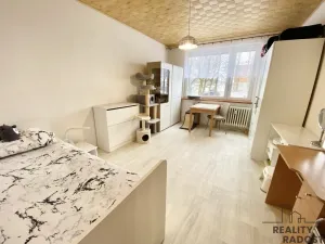 Prodej bytu 2+1, Moravská Třebová, Holandská, 58 m2