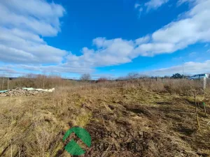 Pronájem zahrady, Drmoul, Písková, 1863 m2