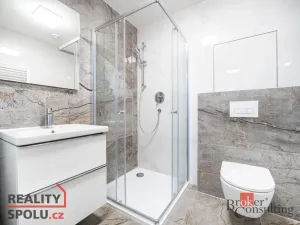 Pronájem bytu 2+kk, Brno - Staré Brno, Nové sady, 59 m2