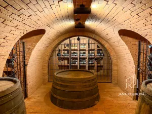 Pronájem ubytování, Valtice, Josefská, 251 m2