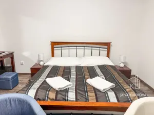 Pronájem ubytování, Valtice, Josefská, 251 m2