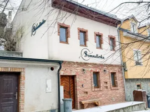 Pronájem ubytování, Valtice, Josefská, 251 m2