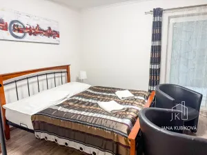 Pronájem ubytování, Valtice, Josefská, 251 m2