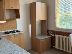 Prodej bytu 1+1, Chomutov, Holešická, 42 m2