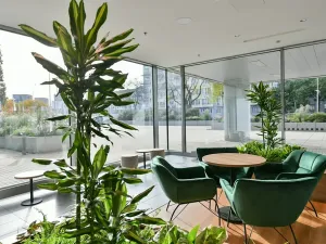 Pronájem kanceláře, Praha - Holešovice, Jankovcova, 221 m2