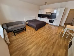 Pronájem bytu 1+kk, Ostrava - Moravská Ostrava, Jantarová, 37 m2