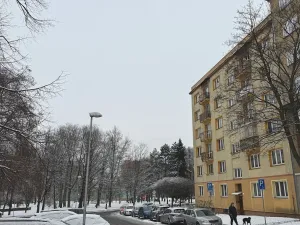 Prodej bytu 1+1, Ostrava, Dětská, 42 m2