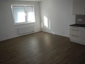 Prodej bytu 1+kk, Hranice, Pod Nemocnicí, 36 m2