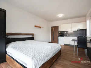 Pronájem bytu 1+kk, Hradec Králové - Nový Hradec Králové, Slunečná, 29 m2