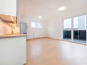 Pronájem bytu 1+kk, Heřmanova Huť, U Pondu, 35 m2