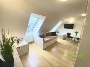 Pronájem bytu 1+kk, Dobřichovice, Anežky České, 30 m2