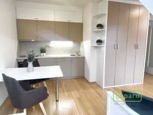 Pronájem bytu 1+kk, Dobřichovice, Anežky České, 30 m2