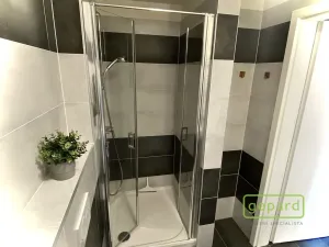 Pronájem bytu 1+kk, Dobřichovice, Anežky České, 30 m2