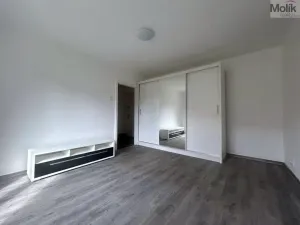 Pronájem bytu 1+1, Most, Lesní, 30 m2