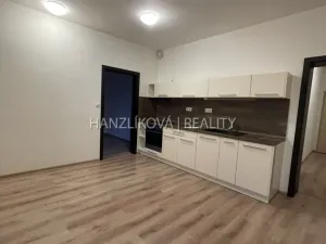 Pronájem bytu 2+kk, České Budějovice - České Budějovice 2, Na Samotách, 46 m2