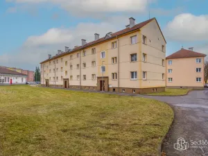 Prodej bytu 2+1, Ostrov, Jáchymovská, 56 m2