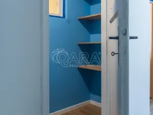 Prodej bytu 2+kk, Praha - Žižkov, Biskupcova, 46 m2