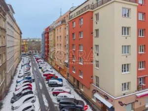 Prodej bytu 2+kk, Praha - Žižkov, Biskupcova, 46 m2