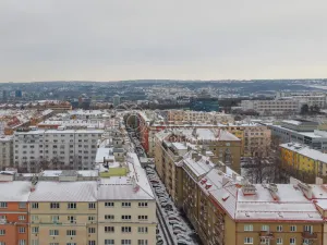 Prodej bytu 2+kk, Praha - Žižkov, Biskupcova, 46 m2