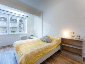 Prodej bytu 2+kk, Praha - Žižkov, Biskupcova, 47 m2