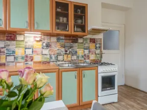 Prodej bytu 2+kk, Praha - Žižkov, Biskupcova, 47 m2