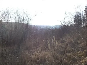 Prodej pozemku, Tábor - Čelkovice, 1007 m2