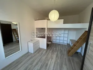 Pronájem bytu 1+1, Olomouc, Šmeralova, 45 m2