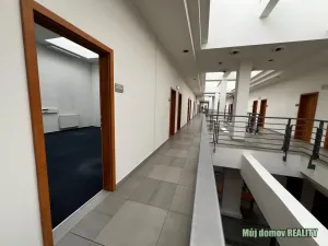 Pronájem kanceláře, Praha - Libeň, Lisabonská, 43 m2