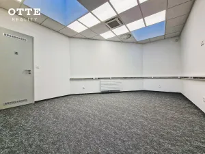Pronájem kanceláře, Plzeň, Rybářská, 152 m2