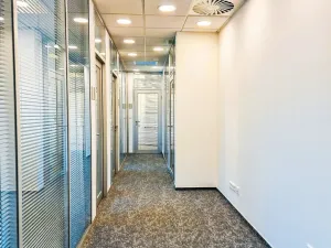Pronájem kanceláře, Plzeň, Rybářská, 152 m2