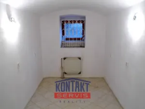 Pronájem obchodního prostoru, České Budějovice, Fráni Šrámka, 81 m2