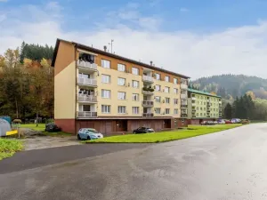 Pronájem bytu 1+kk, Velké Hamry, 28 m2