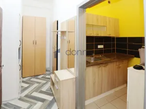 Pronájem bytu 1+kk, Praha, Štěpánská, 22 m2