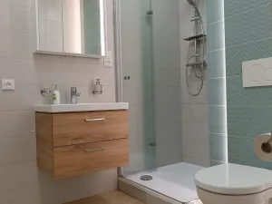 Pronájem bytu 2+1, Olomouc - Nová Ulice, Vojanova, 57 m2