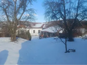 Prodej rodinného domu, Horní Radslavice, 752 m2