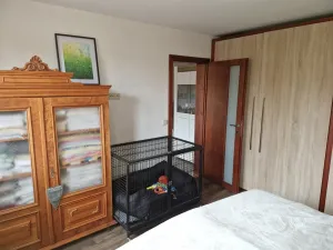 Prodej bytu 2+1, Teplice, Duchcovská, 50 m2