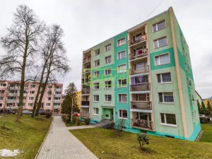 Prodej bytu 3+1, Nový Bor, Palackého, 65 m2