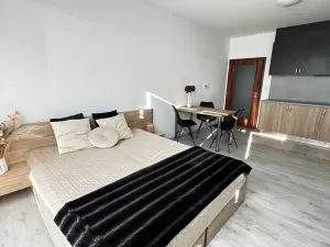 Pronájem bytu 1+kk, Pardubice, Pod Vinicí, 33 m2