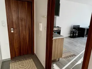 Pronájem bytu 1+kk, Pardubice, Pod Vinicí, 33 m2