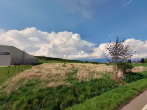 Prodej komerčního pozemku, Cerhovice, Plzeňská, 9984 m2