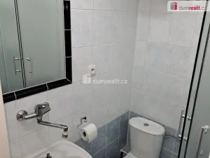 Pronájem bytu 1+kk, Praha - Velká Chuchle, Starochuchelská, 20 m2