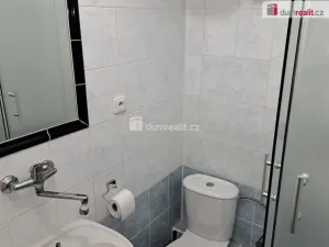 Pronájem atypického bytu, Praha - Velká Chuchle, Starochuchelská, 20 m2