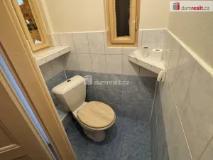 Pronájem atypického bytu, Praha - Velká Chuchle, Starochuchelská, 17 m2