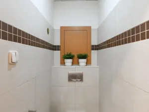 Prodej bytu 2+1, Praha - Žižkov, Basilejské náměstí, 73 m2