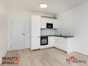 Pronájem bytu 1+kk, Plzeň - Jižní Předměstí, Magisterská, 29 m2