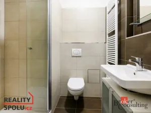 Pronájem bytu 1+kk, Plzeň - Jižní Předměstí, Magisterská, 29 m2