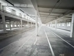 Prodej výrobních prostor, Hustopeče, 1710 m2