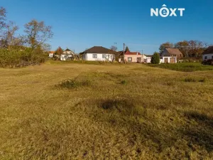 Prodej pozemku pro bydlení, Dyjákovice, 4308 m2