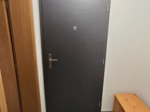 Pronájem bytu 1+kk, Plzeň - Skvrňany, Domažlická, 25 m2